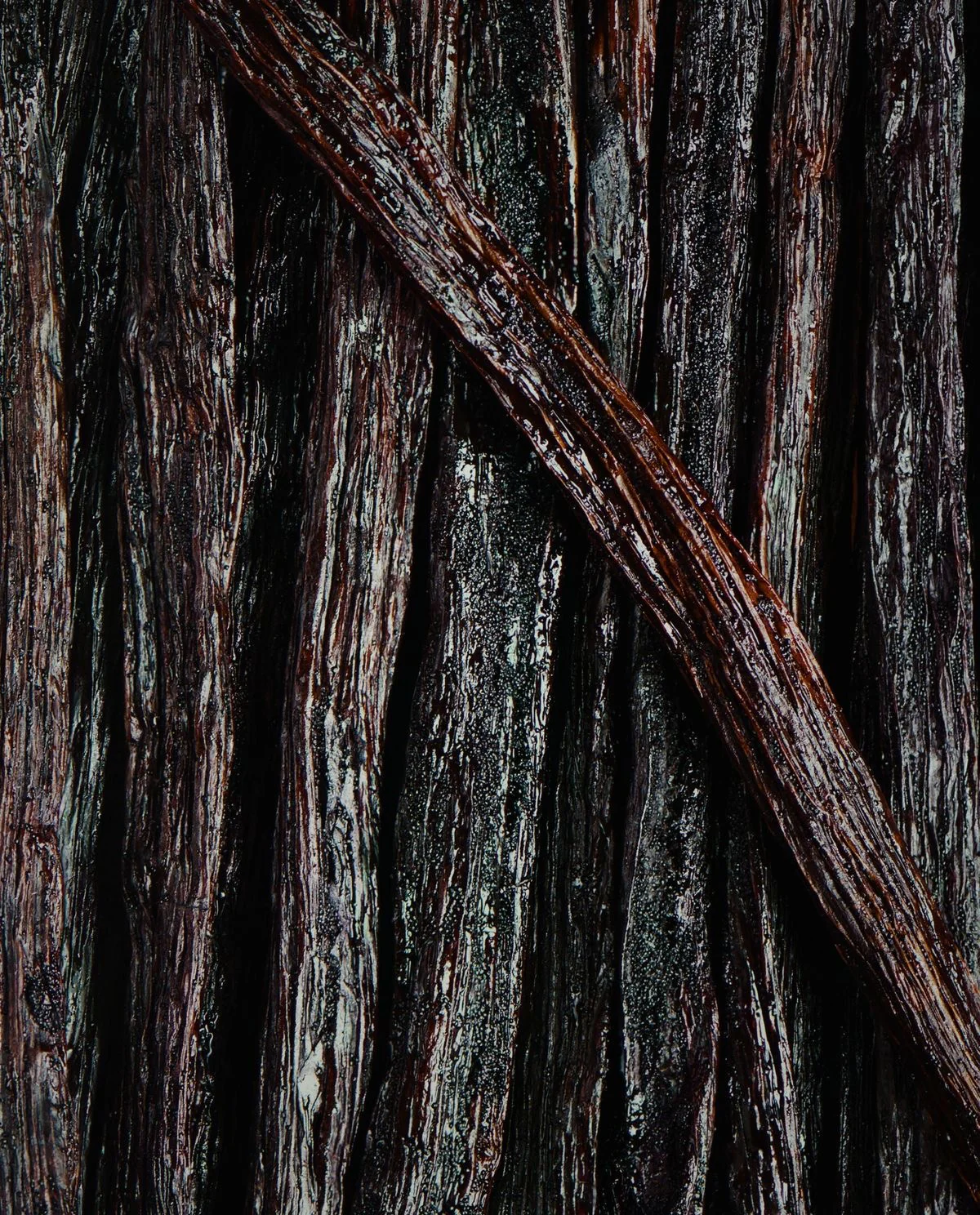 Oljor för unisex - vanilj