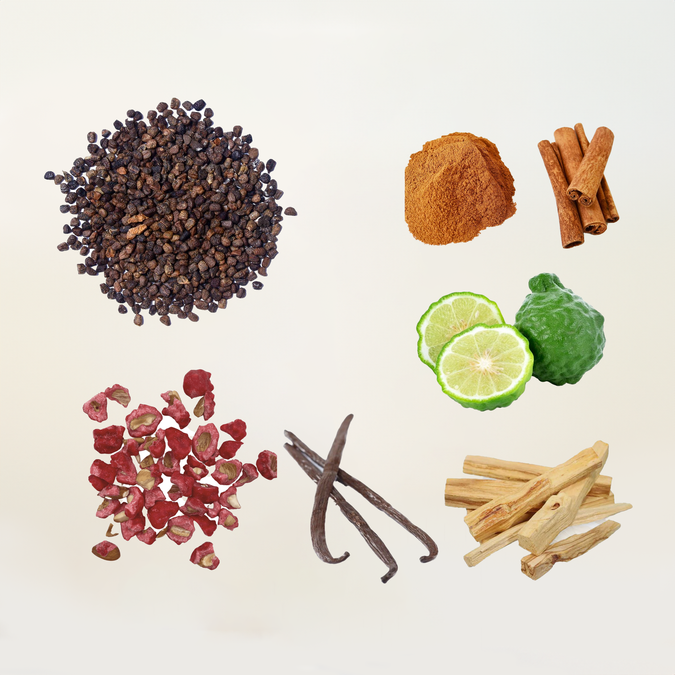 Cinnamonilla