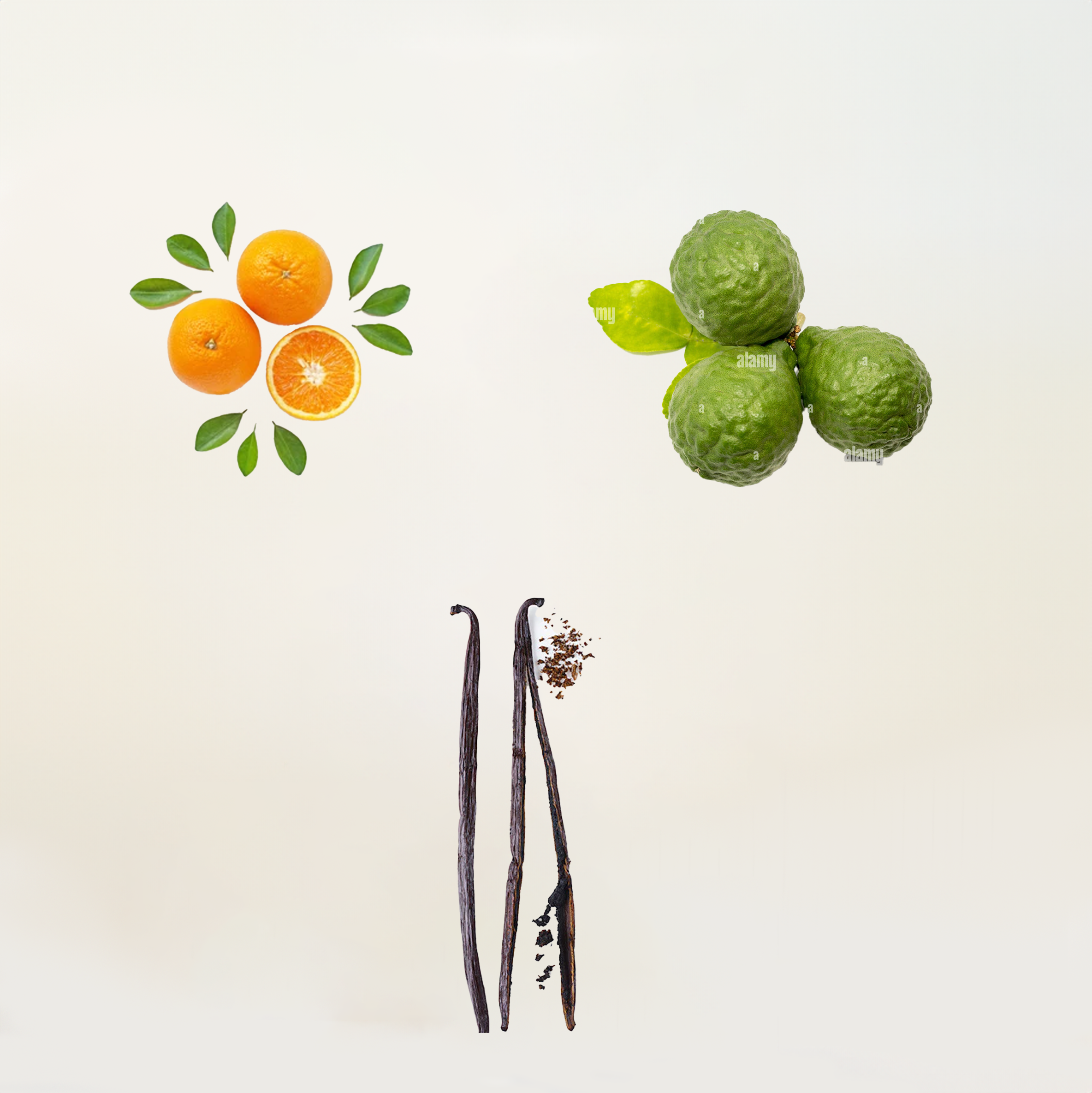Inspirerad av Erba Pura - Fruitfever