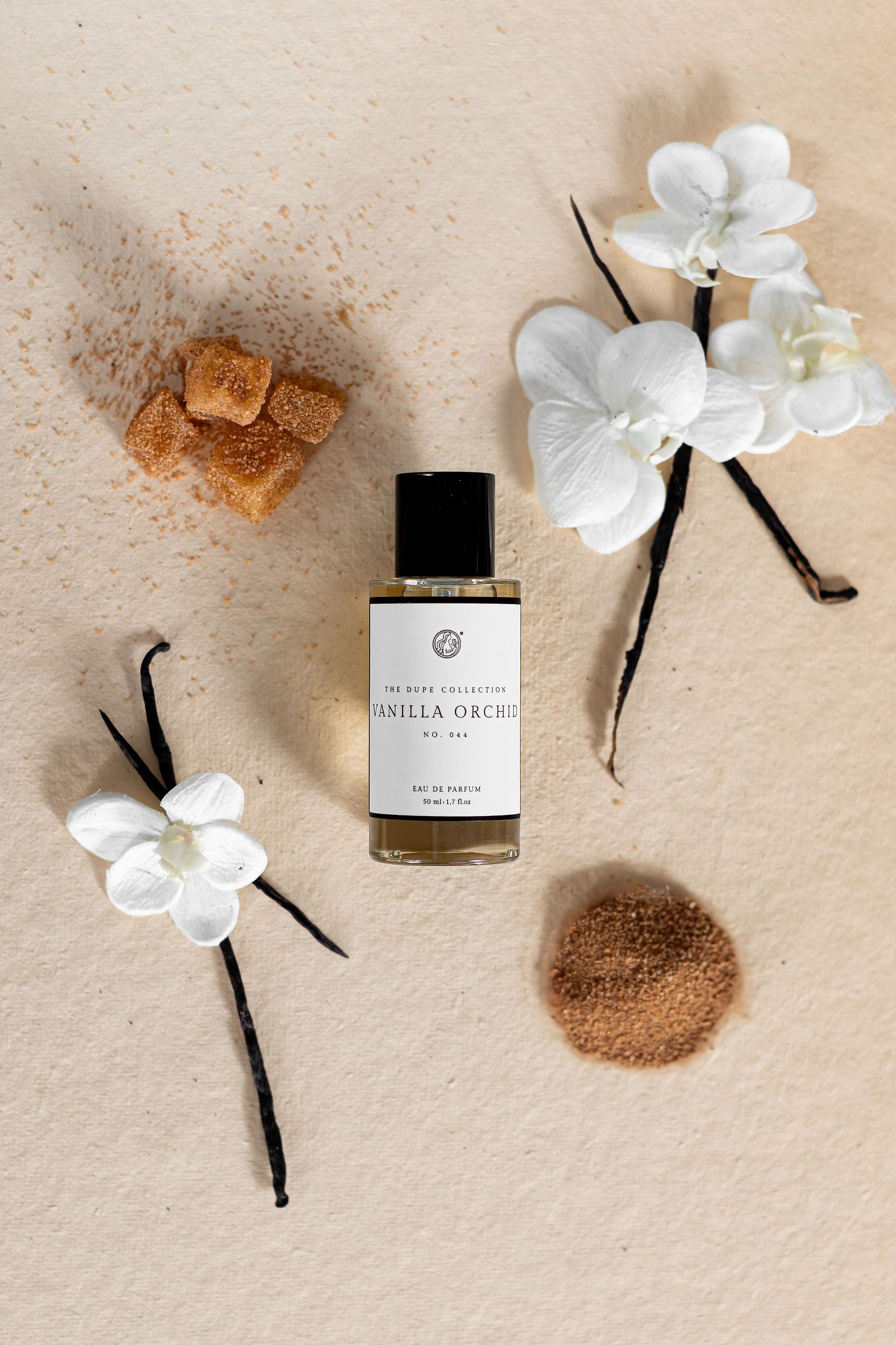 Vanilla Orchid