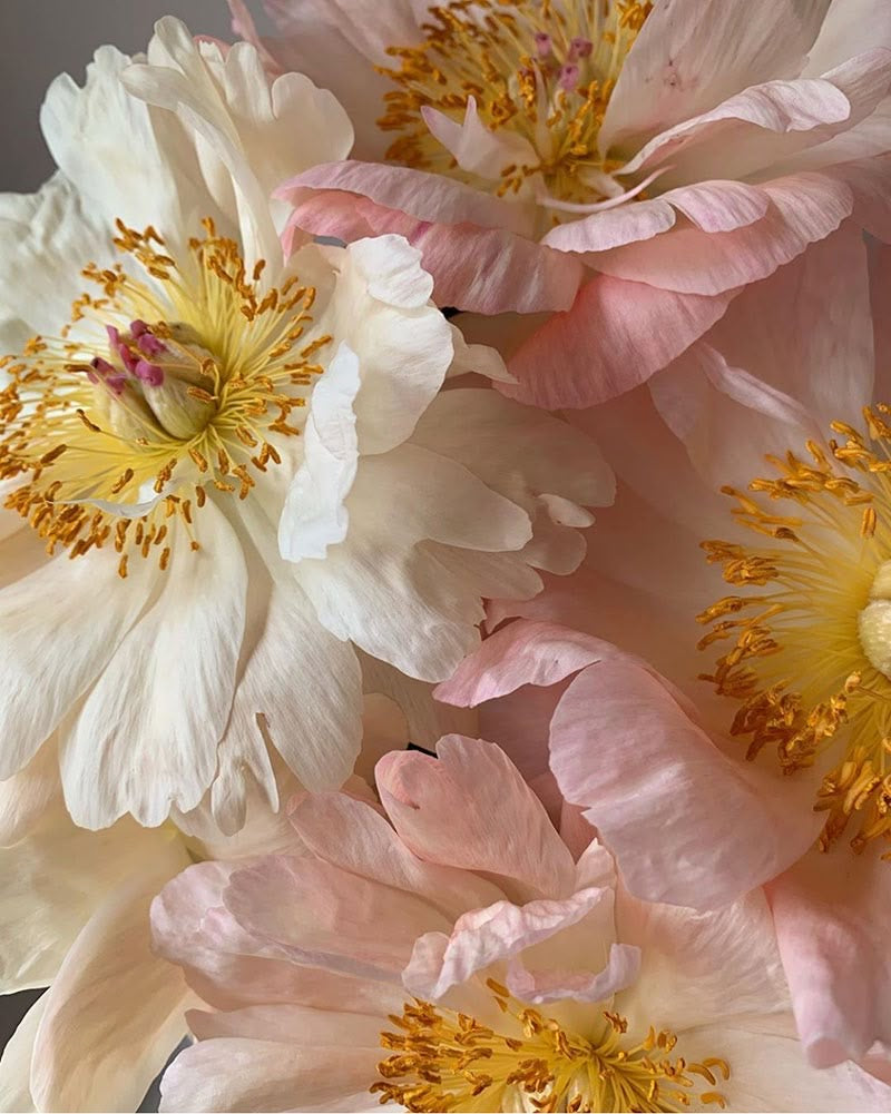 Parfym - Blommig
